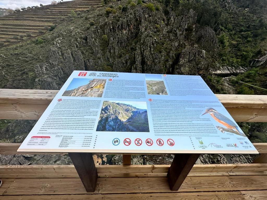 Casa Vicente Villa Lamego Dış mekan fotoğraf