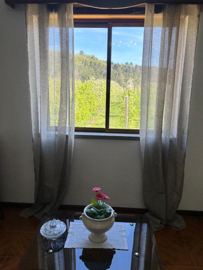 Casa Vicente Villa Lamego Dış mekan fotoğraf