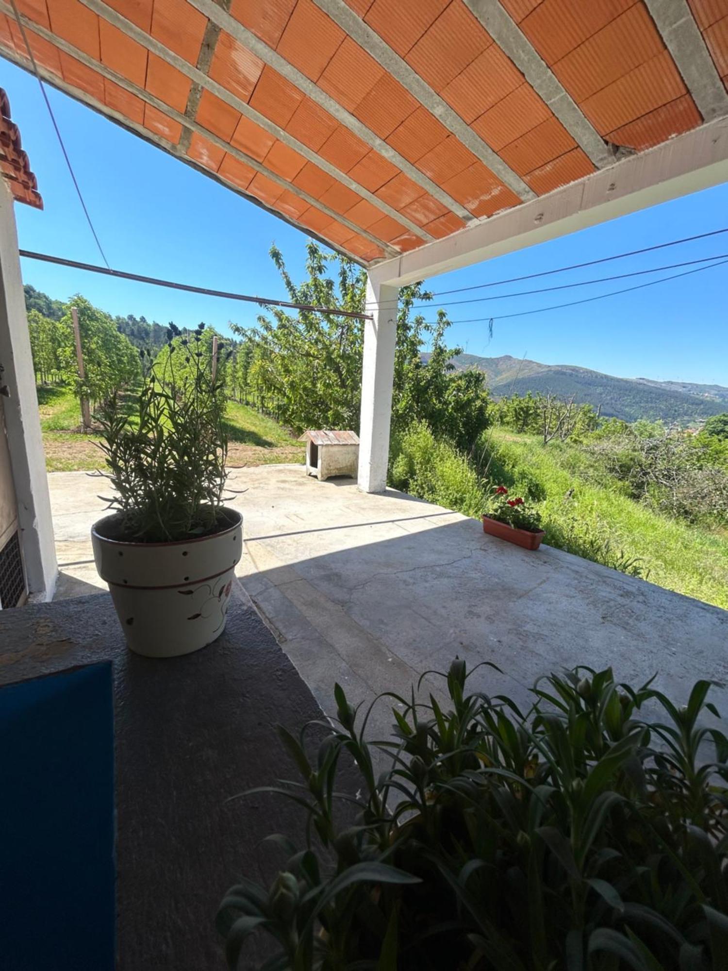 Casa Vicente Villa Lamego Dış mekan fotoğraf