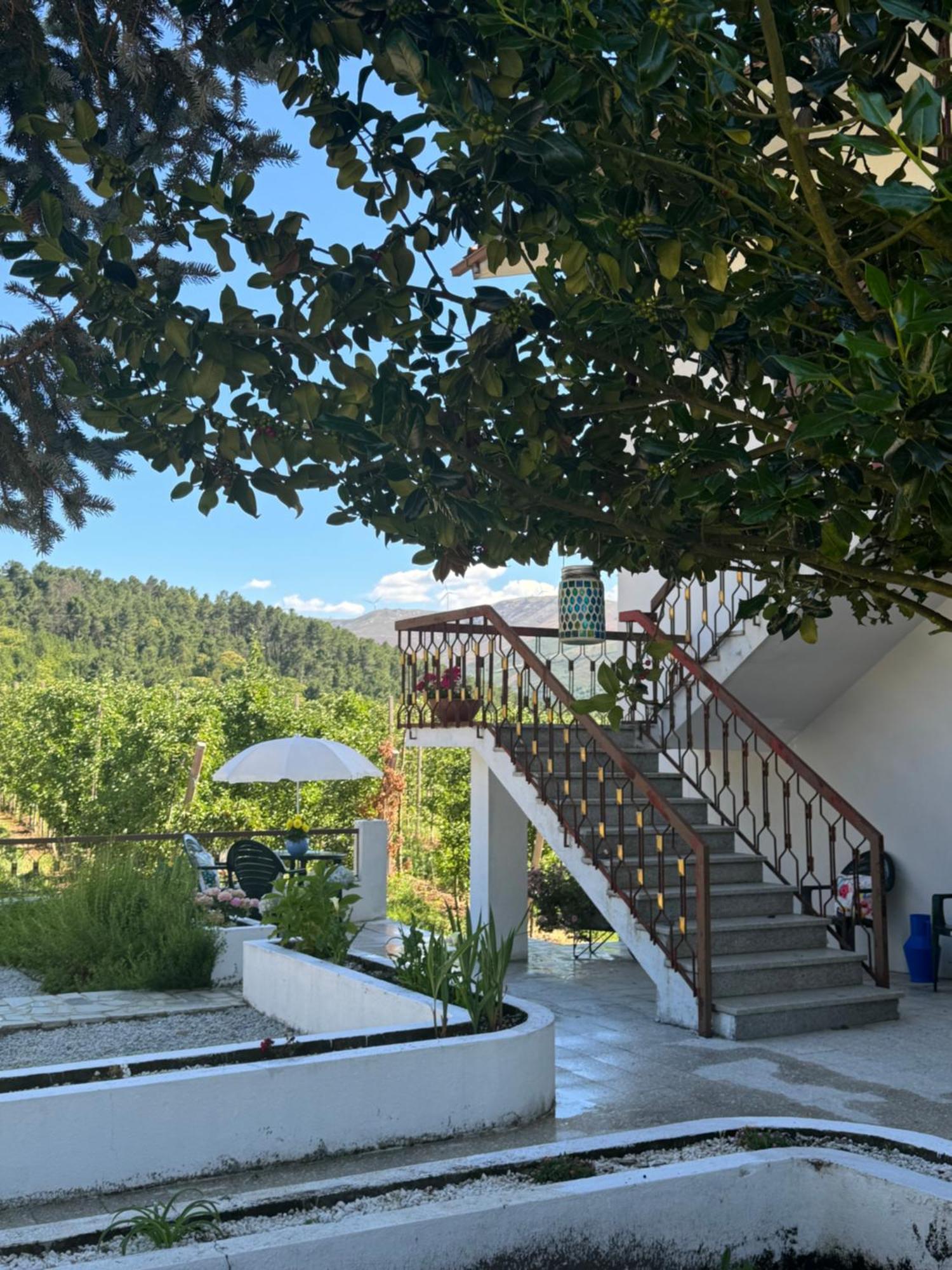 Casa Vicente Villa Lamego Dış mekan fotoğraf