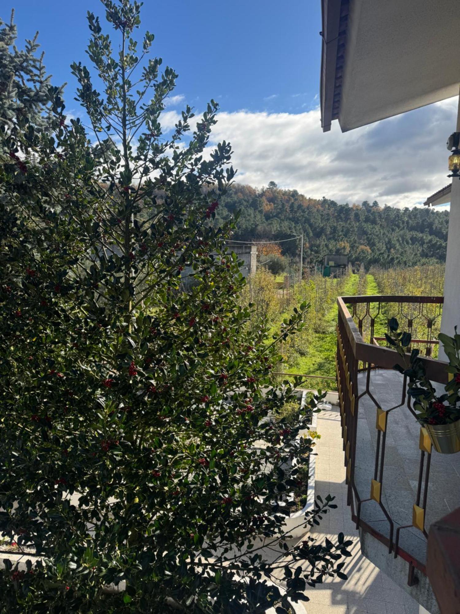 Casa Vicente Villa Lamego Dış mekan fotoğraf
